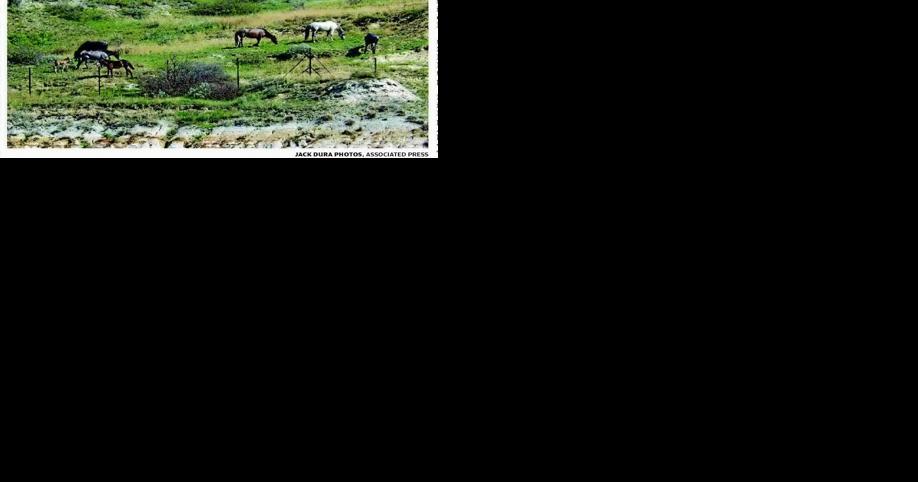 Plan to oust park's wild horses challenged - Vimarsana News