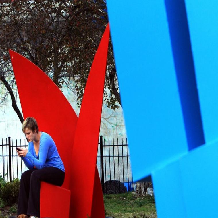 Dogs Commingle With Sculptures At St Louis University Dog Park Metro Stltoday Com