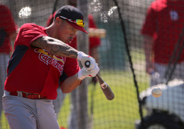 St. Louis Cardinals: Spring Training Reaction