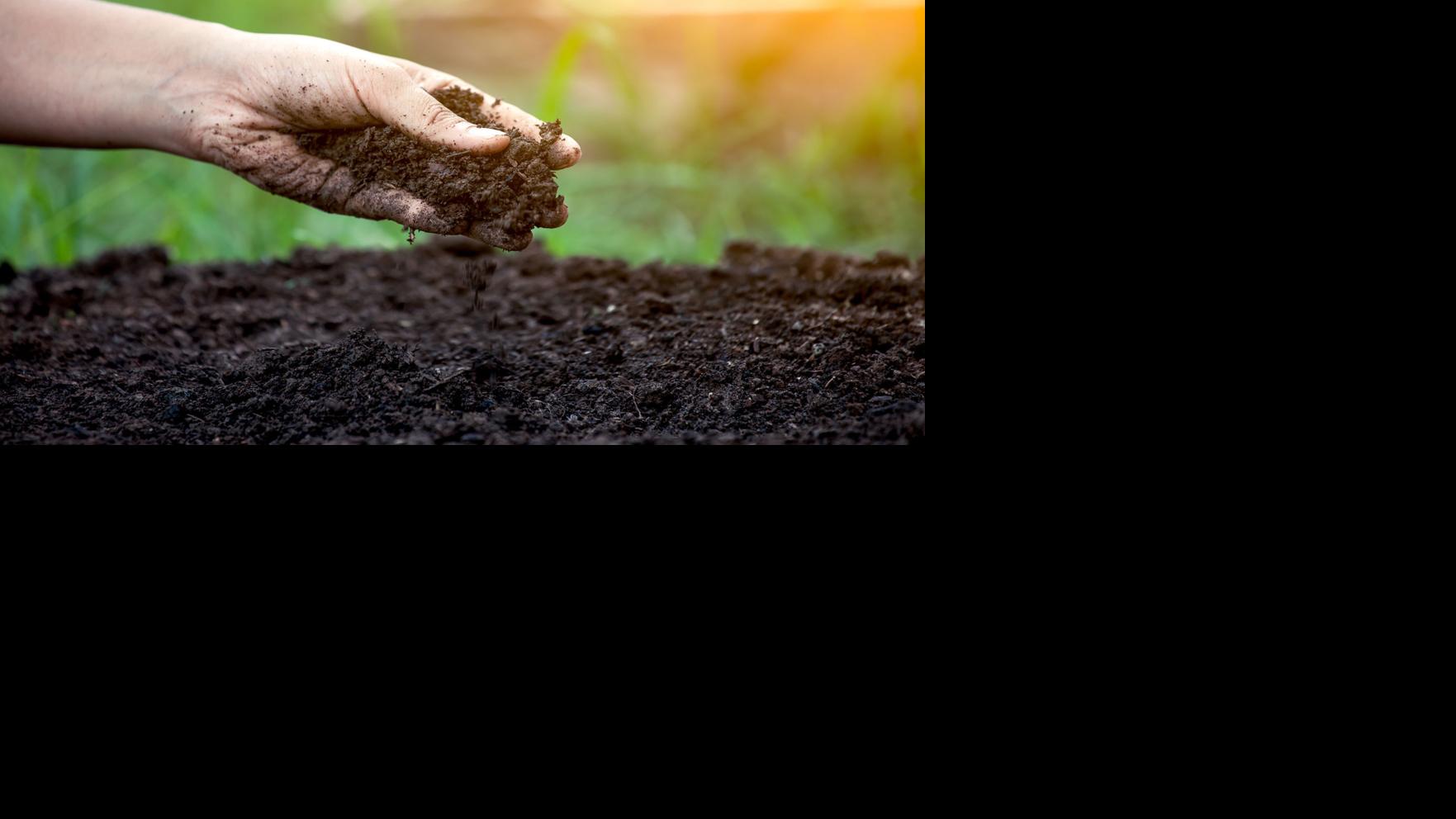 Soil test, compost are key to fertilizing vegetable garden | Home & Garden