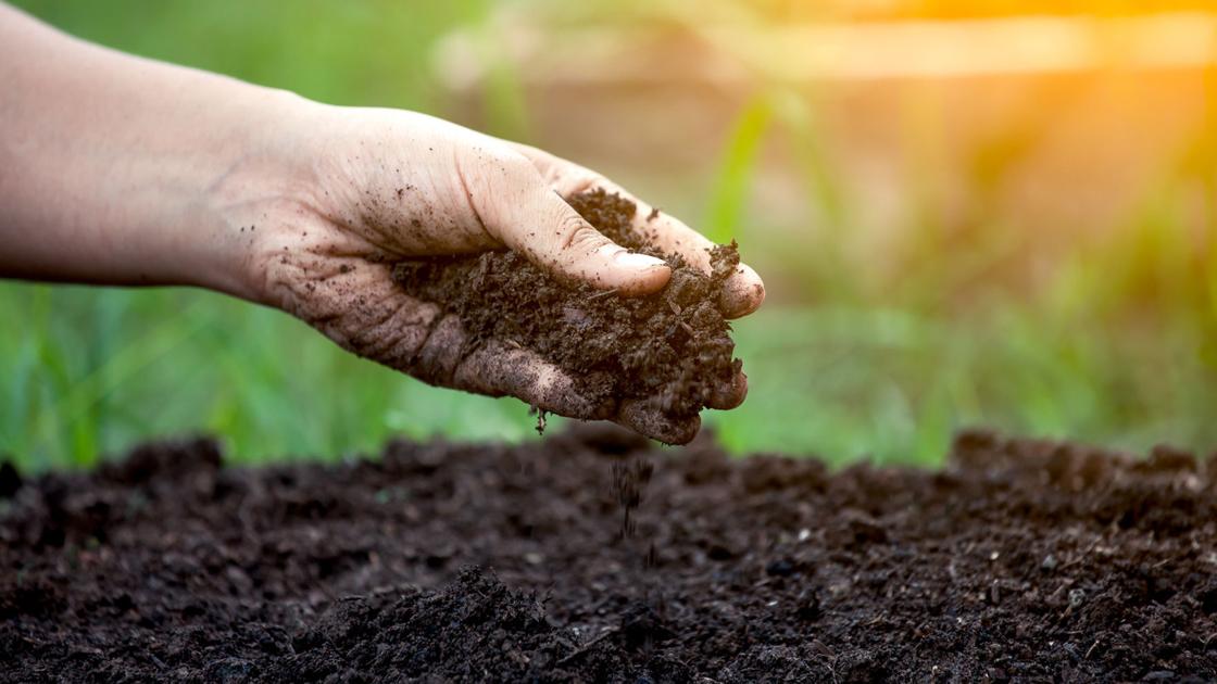 Soil test, compost are key to fertilizing vegetable garden | Home & Garden