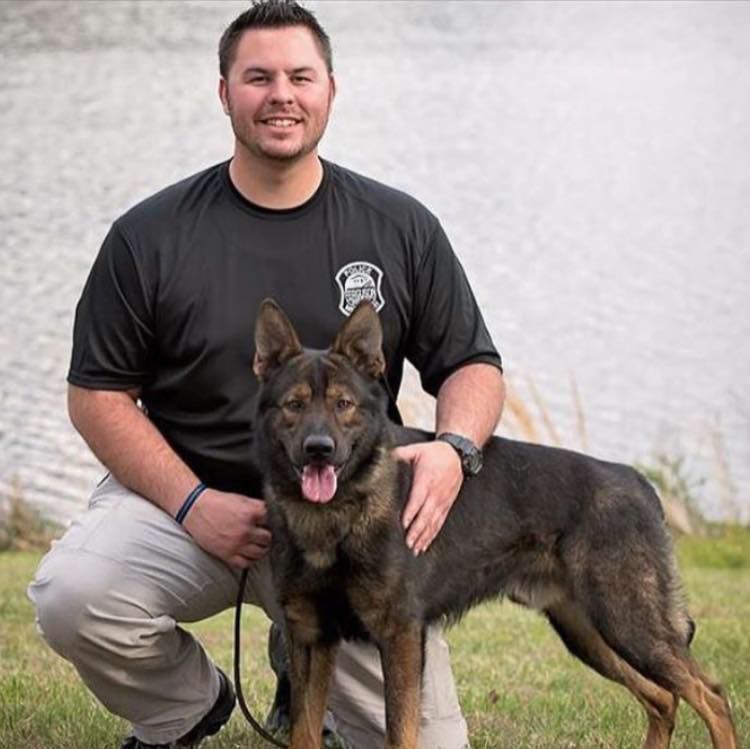 Normandy Police Dog Dies Two Days After Fall From Parking Deck Law And Order Stltoday Com