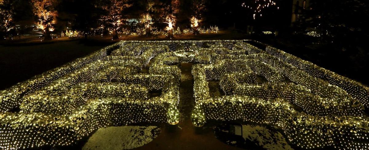 Go For The Glow Missouri Botanical Garden Repeats Holiday Light
