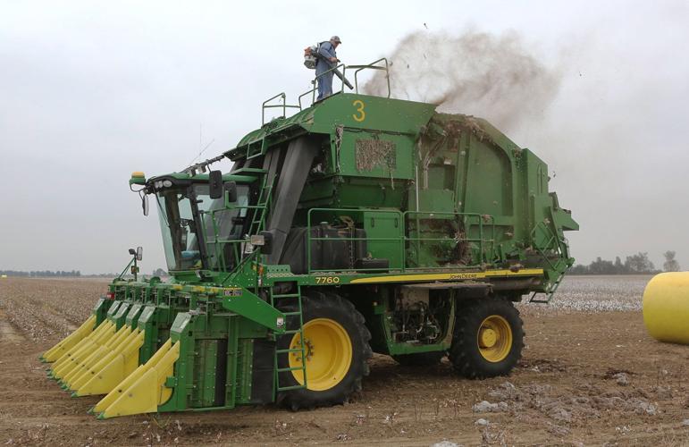 Farmers on Both Sides of Dicamba Herbicide Issue