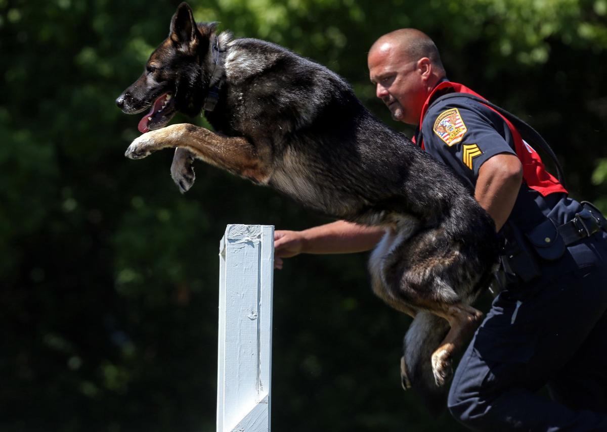 Police Dogs Show Off Their Skills In O Fallon Mo