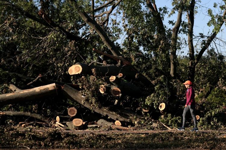 Walking path clear in Forest Park