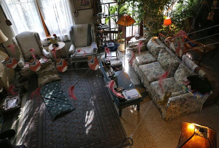 At Home with Joy Stinger in Clayton