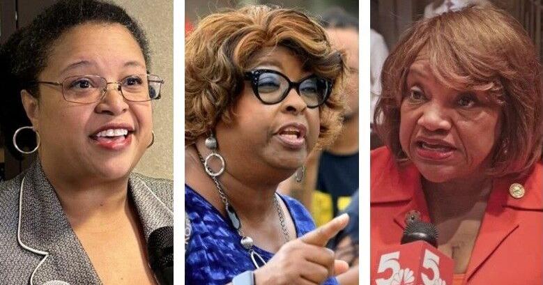 3 north St. Louis County Democrats vie for council seat