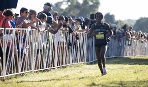 Scenes from the Forest Park Cross Country Festival