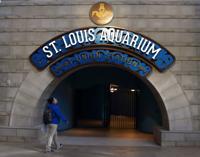 St. Louis Aquarium preps for grand opening
