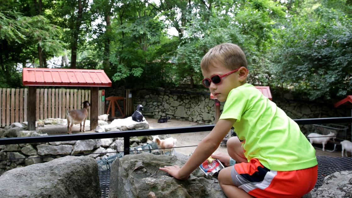 After 50 years, Children's Zoo at St. Louis Zoo will close for good this fall - STLtoday.com