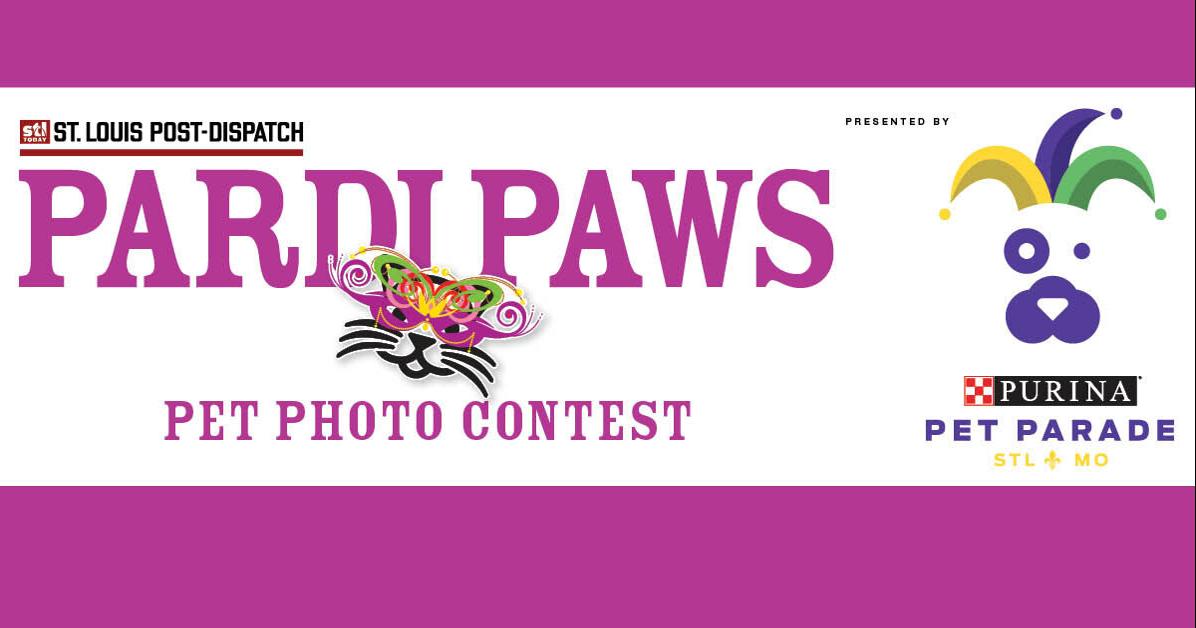 Check out scenes from the 2024 Purina Pet Parade