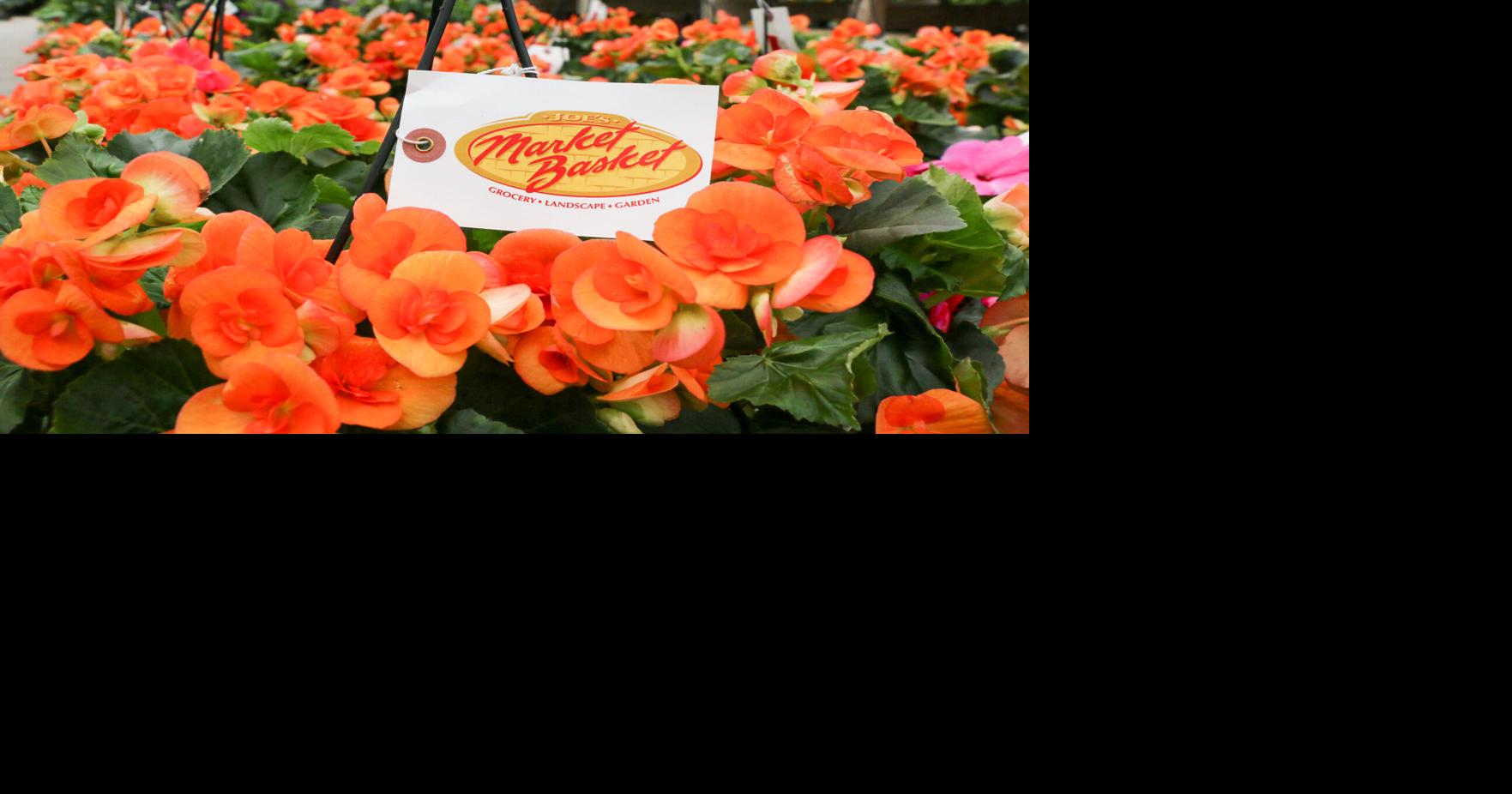 Joe’s Market Basket Educates People on the Do’s and Don’ts of Spring