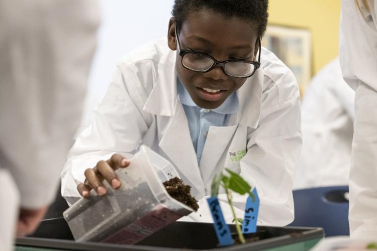 Planting seeds of sustainability