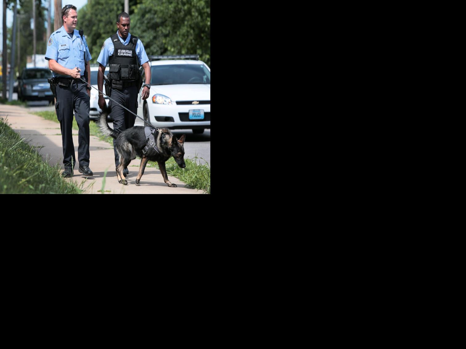 St. Louis police warn of 'mass exodus,' but numbers are anecdotal - STLtoday.com