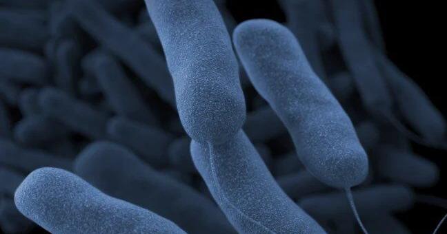 St. Louis Public Schools finds Legionella bacteria in water, shuts down central office