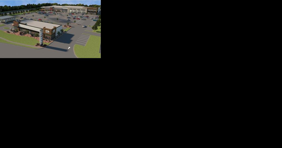 Pickleball, social house proposed for south St. Louis County - Vimarsana News