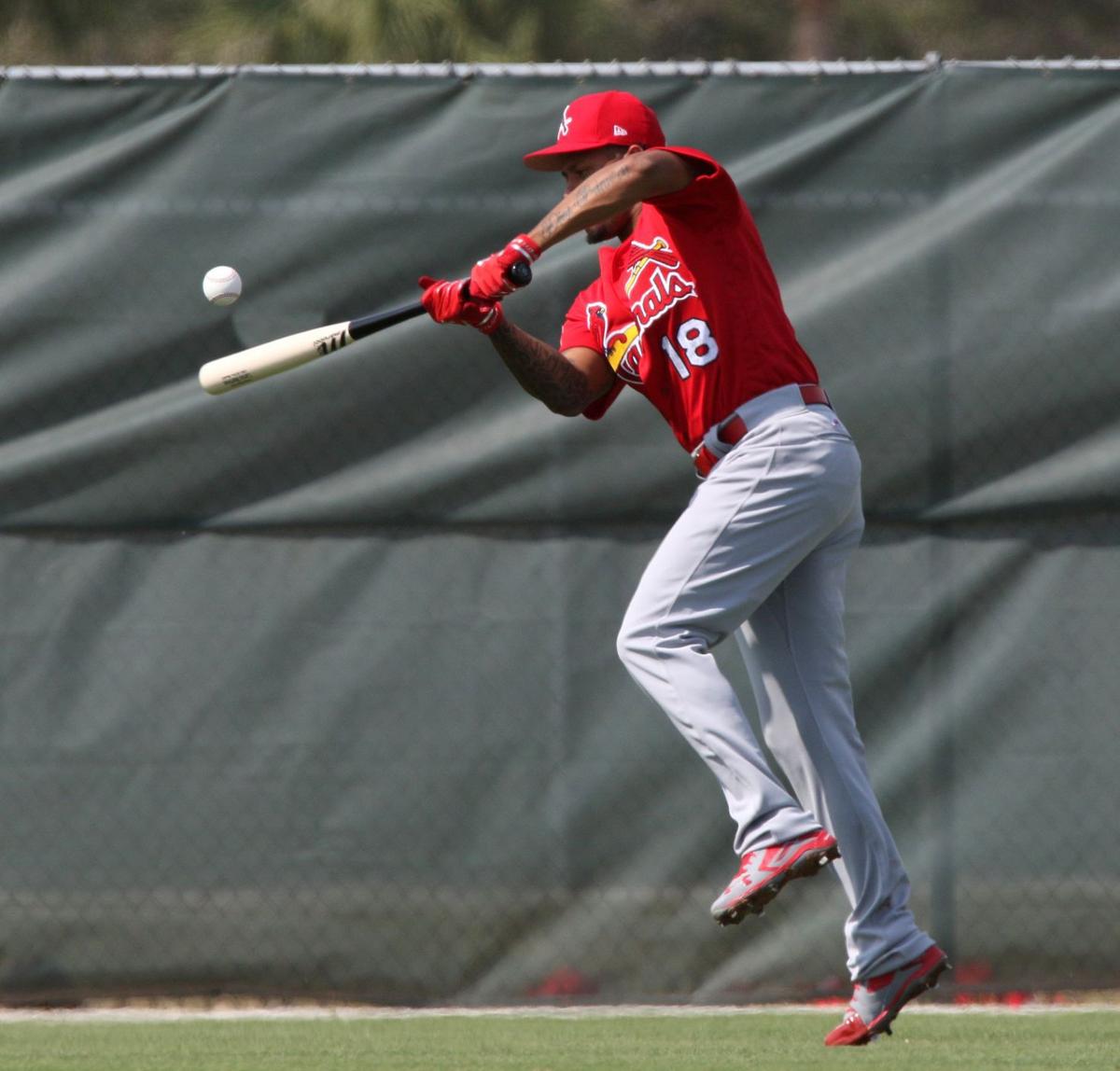Cardinals Spring Training Pitchers and catchers report for duty St