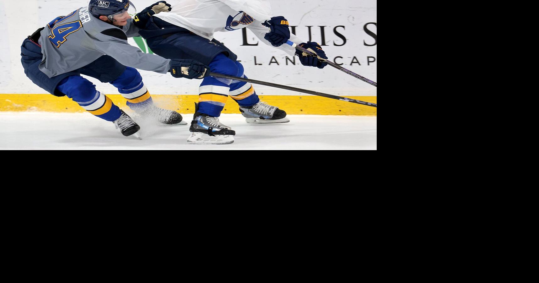 Defenseman Lukas Fischer aims to bring maturity, growth into pro hockey this fall