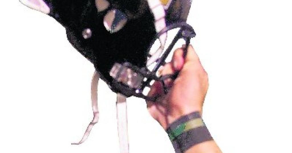 'The Decider' Big Ten vs. SEC