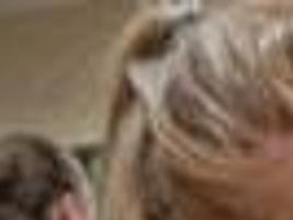 Humane Society Rescuing Nearly 160 Animals From Licensed St Francois County Breeder Metro Stltoday Com