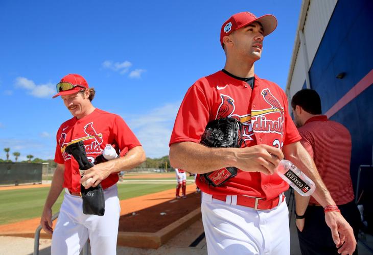 St. Louis Cardinals on X: Steven Matz's 2023 Spring Training ERA