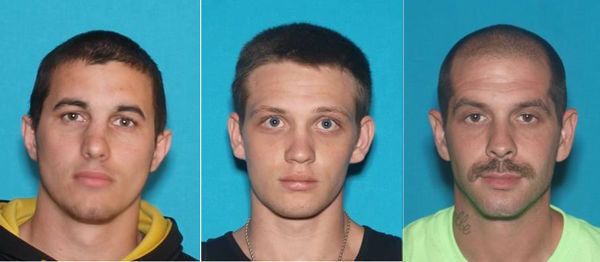 One charged, two sought in theft of 11 ATVs in Chesterfield