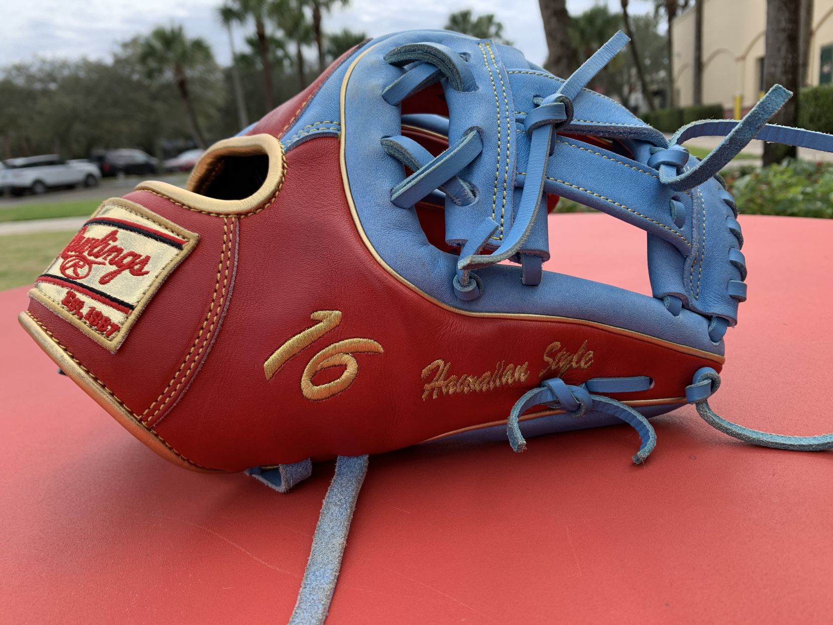 rawlings sports