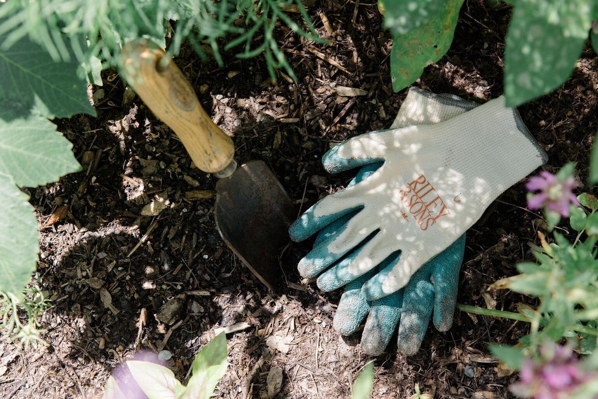 Made in St Louis: Gardeners dig her earth friendly gloves