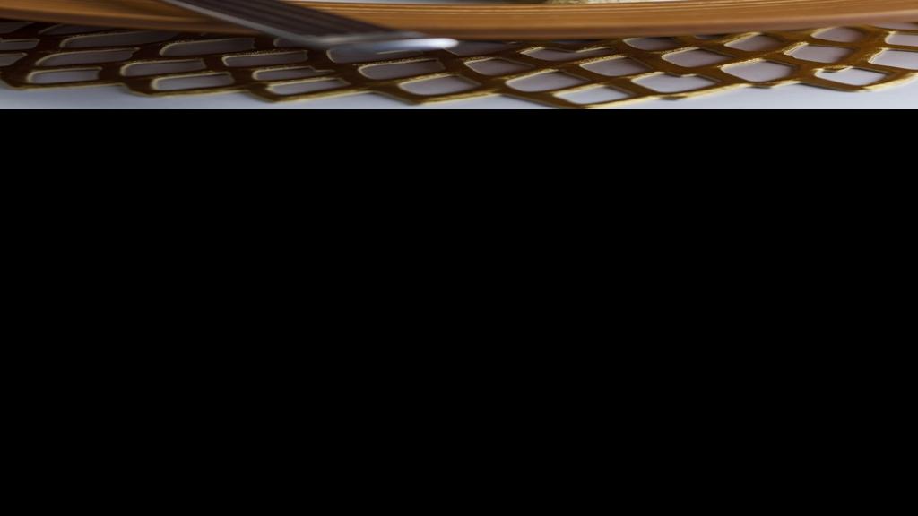 Chicken With Toasted Pumpkin Seed Sauce Recipes