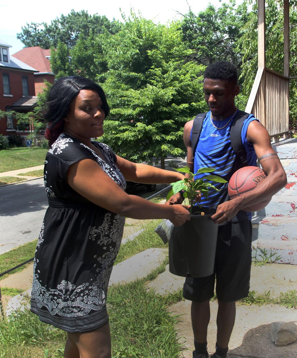 Food Pantry Helps Clients To Grow Their Own Metro Stltoday Com
