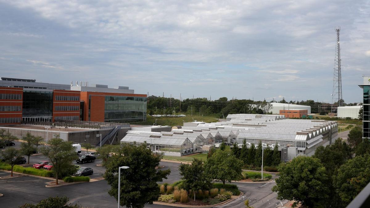 Benson Hill overlooks the Donald Danforth Plant Science Center