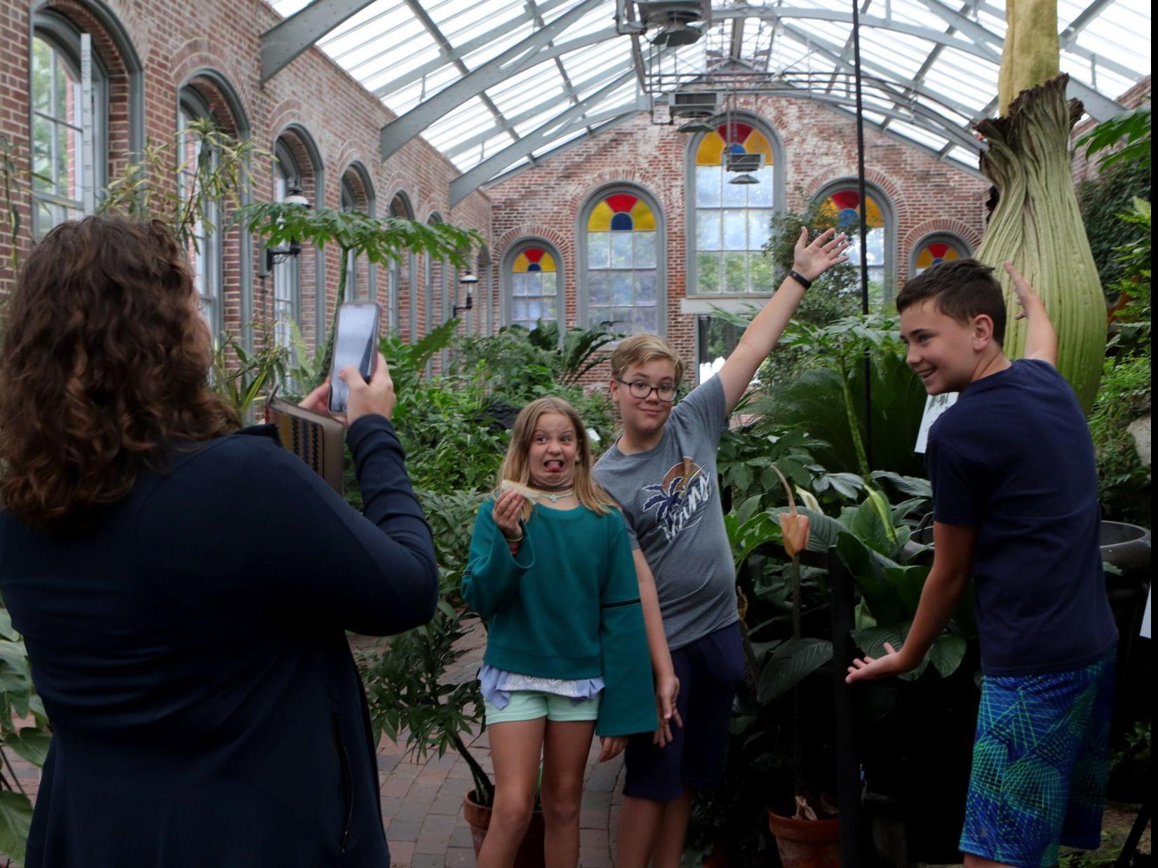 Stinky News For Corpse Flower Fans No Bloom This Time At Missouri Botanical Garden Culture Club Stltoday Com