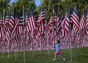 Flags of Valor memorial covers Art Hill in Forest Park