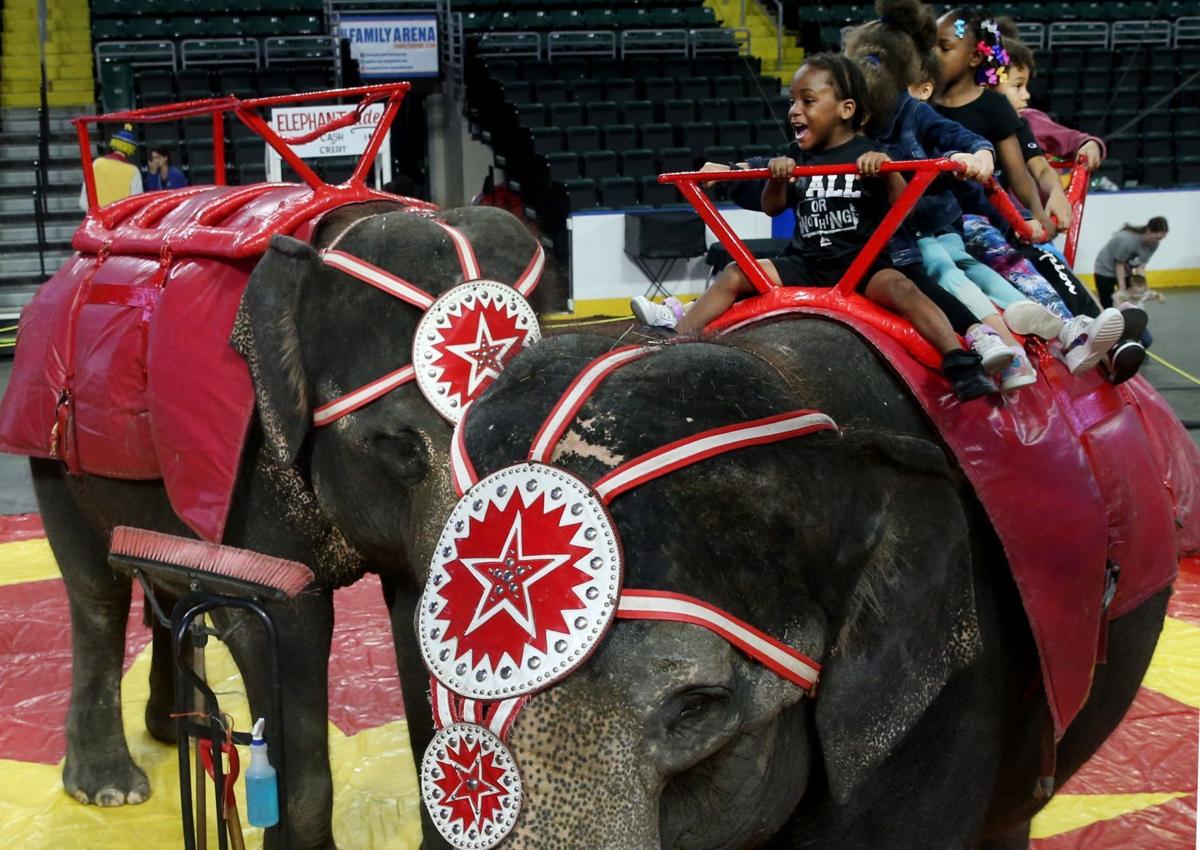 Riding the circus elephants