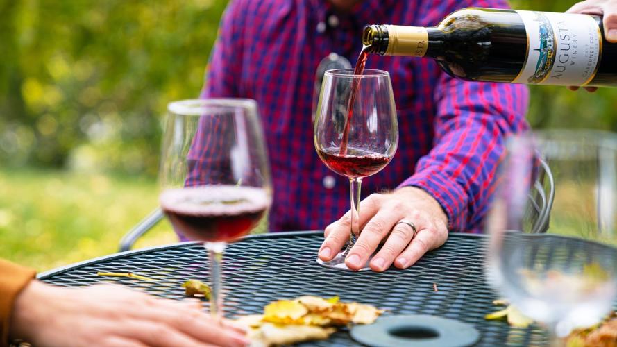 15 Things to Do in St. Louis in June