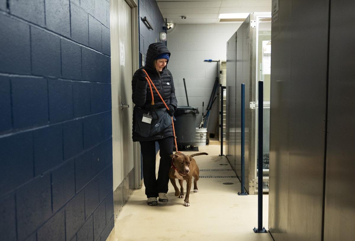 Animal shelter set to go under St. Louis County control Friday