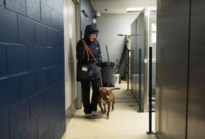 Animal shelter set to go under St. Louis County control Friday