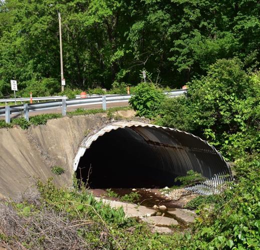 Contract Awarded for North Elm Culvert Replacement