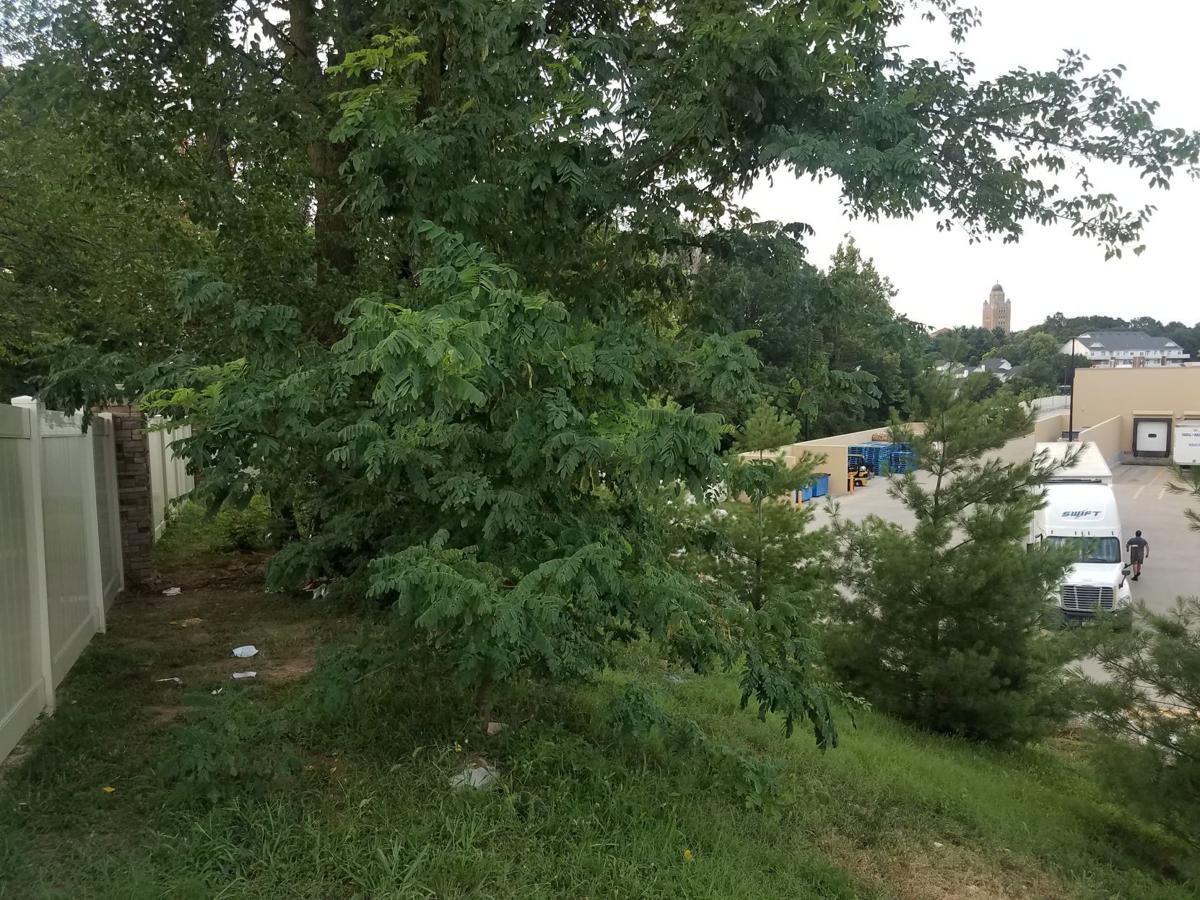 Charges dropped against woman arrested in 2018 death in Shrewsbury