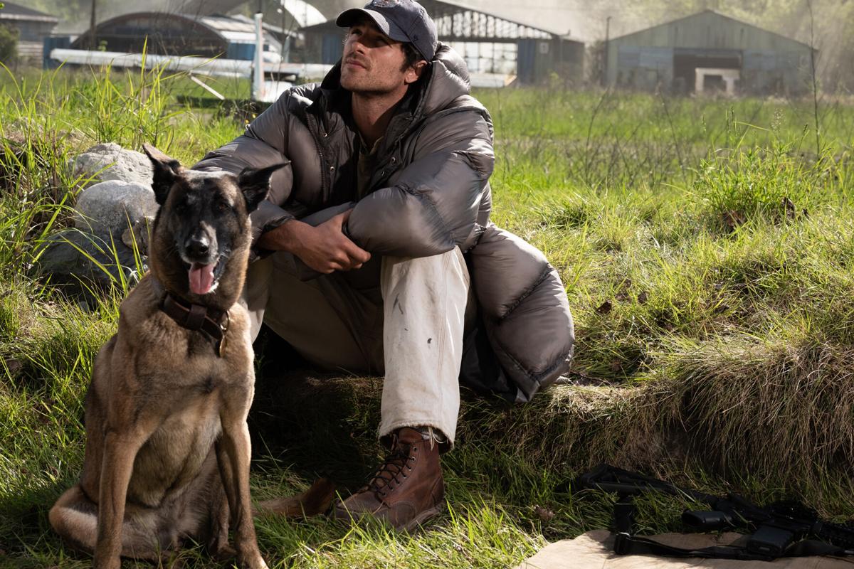 ENTER-DOG-STARS-MOVIE-REVIEW-FILEPIC-MCT