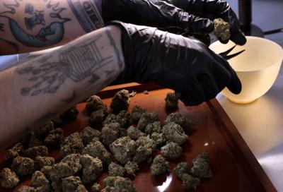 Cannabis dispensaries report booming business