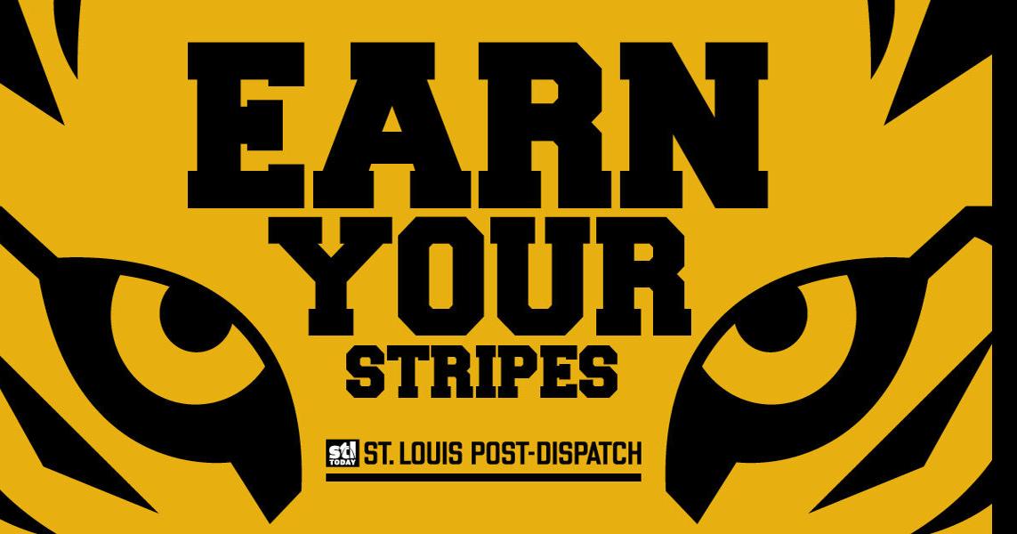Earn your Stripes