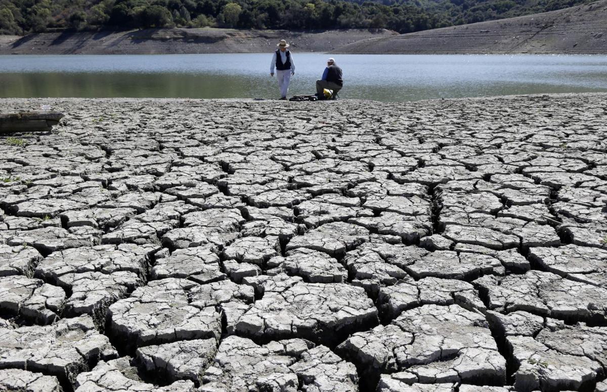 Climate Report