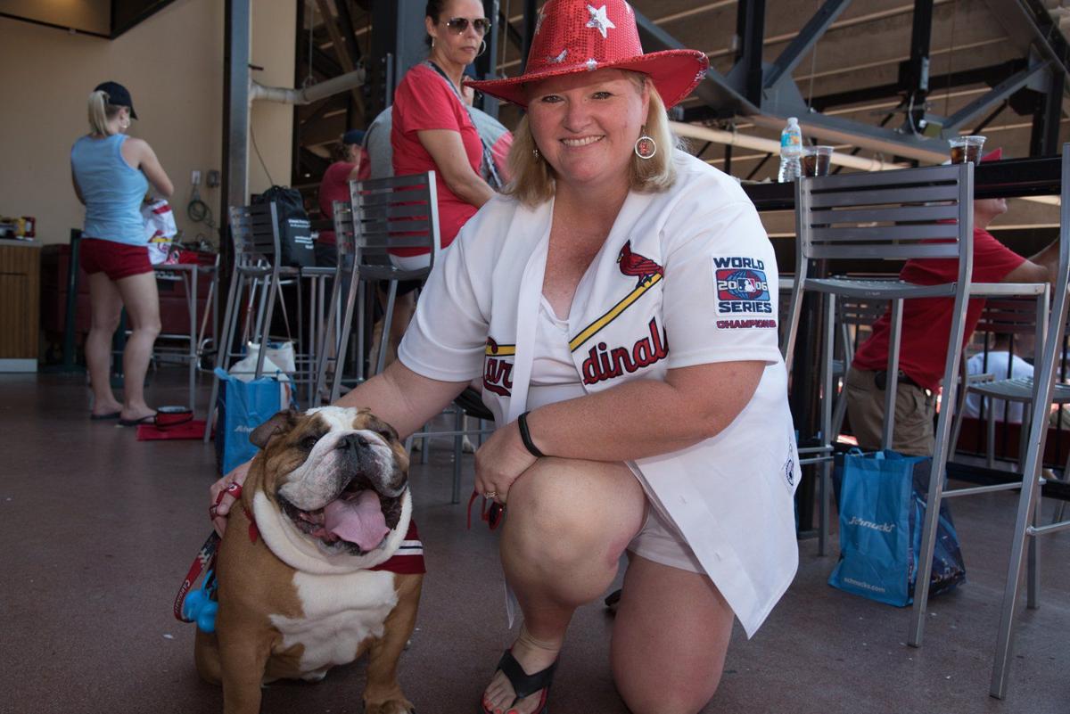 Purina Pooches in the Ballpark returns