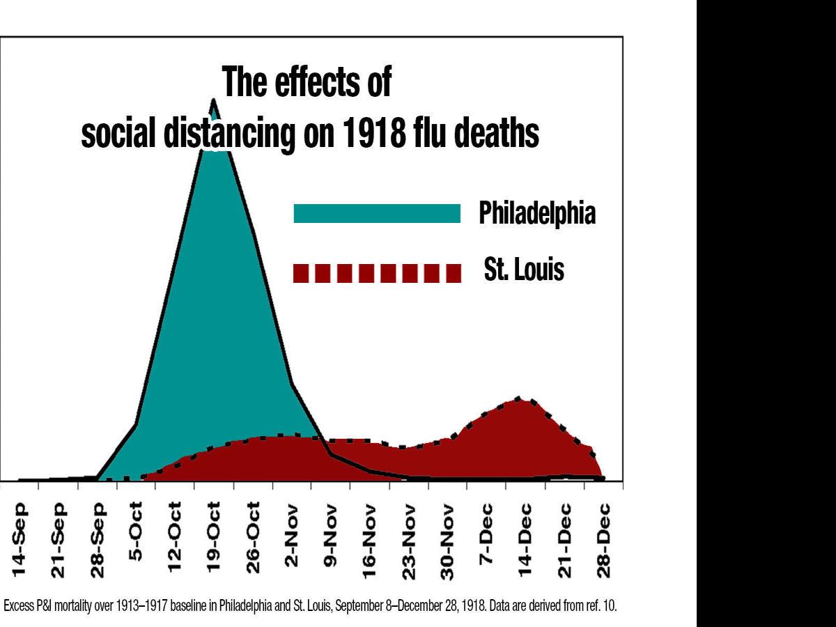 41+ Spanish Flu Masks Bird PNG