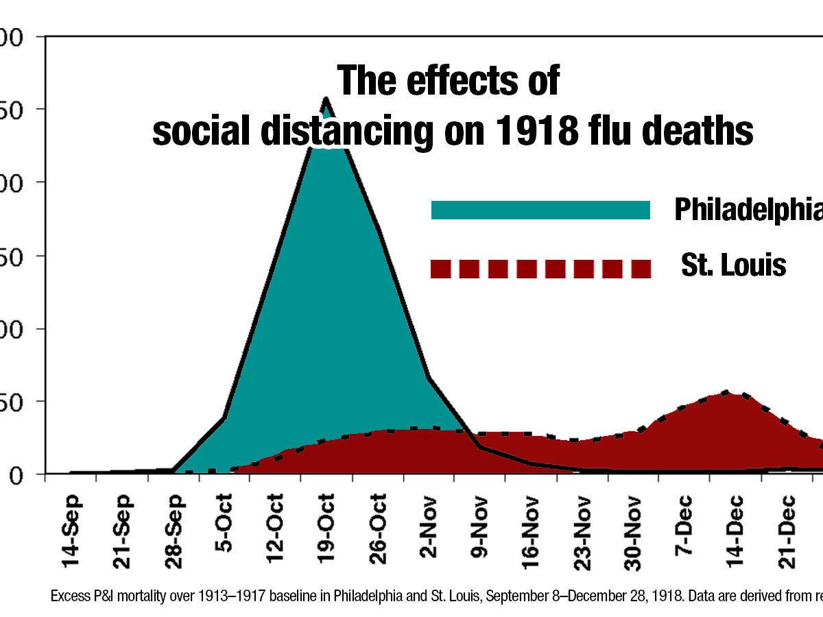 41+ Spanish Flu Masks Bird PNG