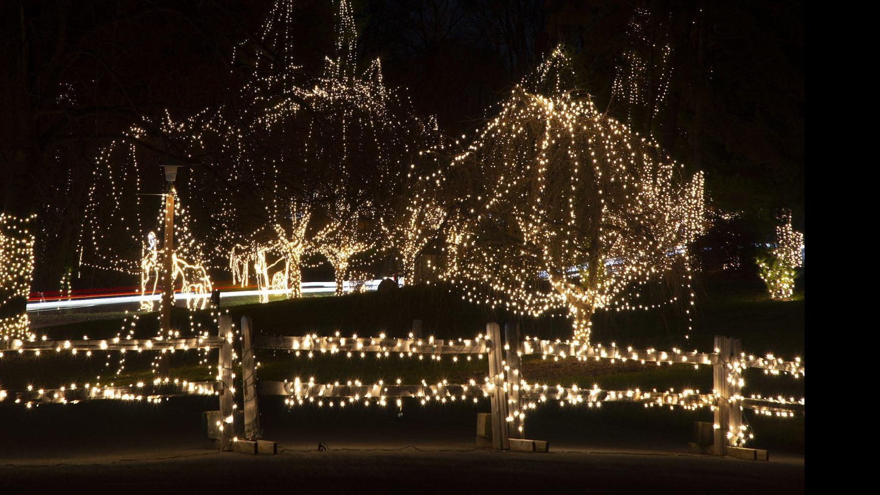 Our Lady Of The Snows Christmas Lights 2021