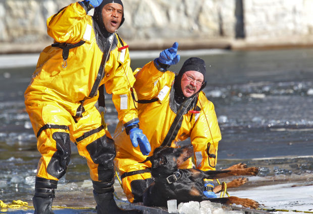 Fire Dept. Rescues dog from lake in O'Fallon Park