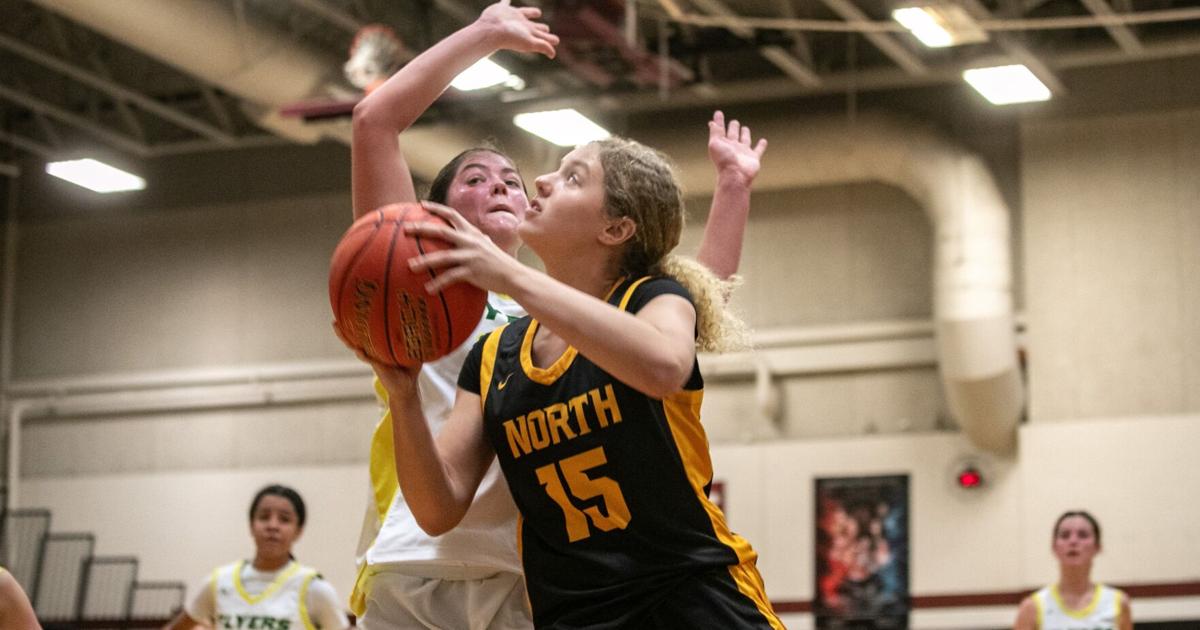 Summit Holiday Hoops, first round: Francis Howell North 52, Lindbergh 41 By Daniel Shular | Special to the Post-Dispatch